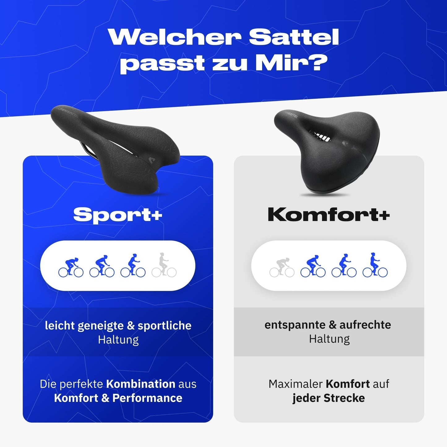 Sport+ Schmerzlos Bundle